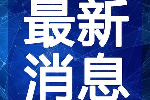 宋大嘴最新爆料消息视频,揭秘视频背后的惊人真相
